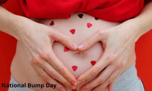 National Bump Day 2024: Date, Wishes, Messages, History