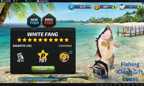 Fishing Clash Gift Codes ( Latest Update July 2024)
