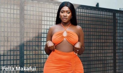 Fella Makafui Net Worth, Age, phone number, Height, Education Biography