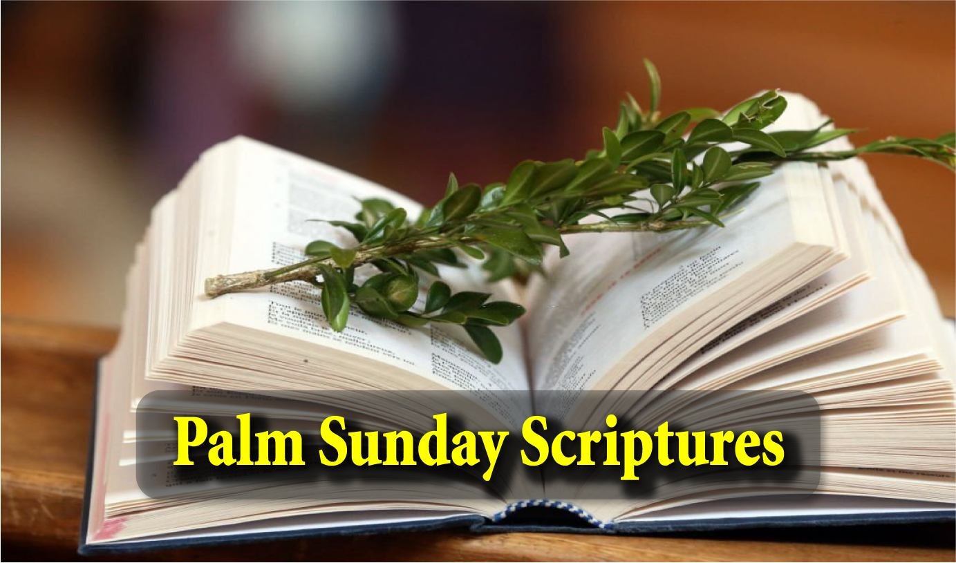 13 Best Palm Sunday Scriptures: Inspiring Verses to Commemorate Jesus' Triumphal Entry