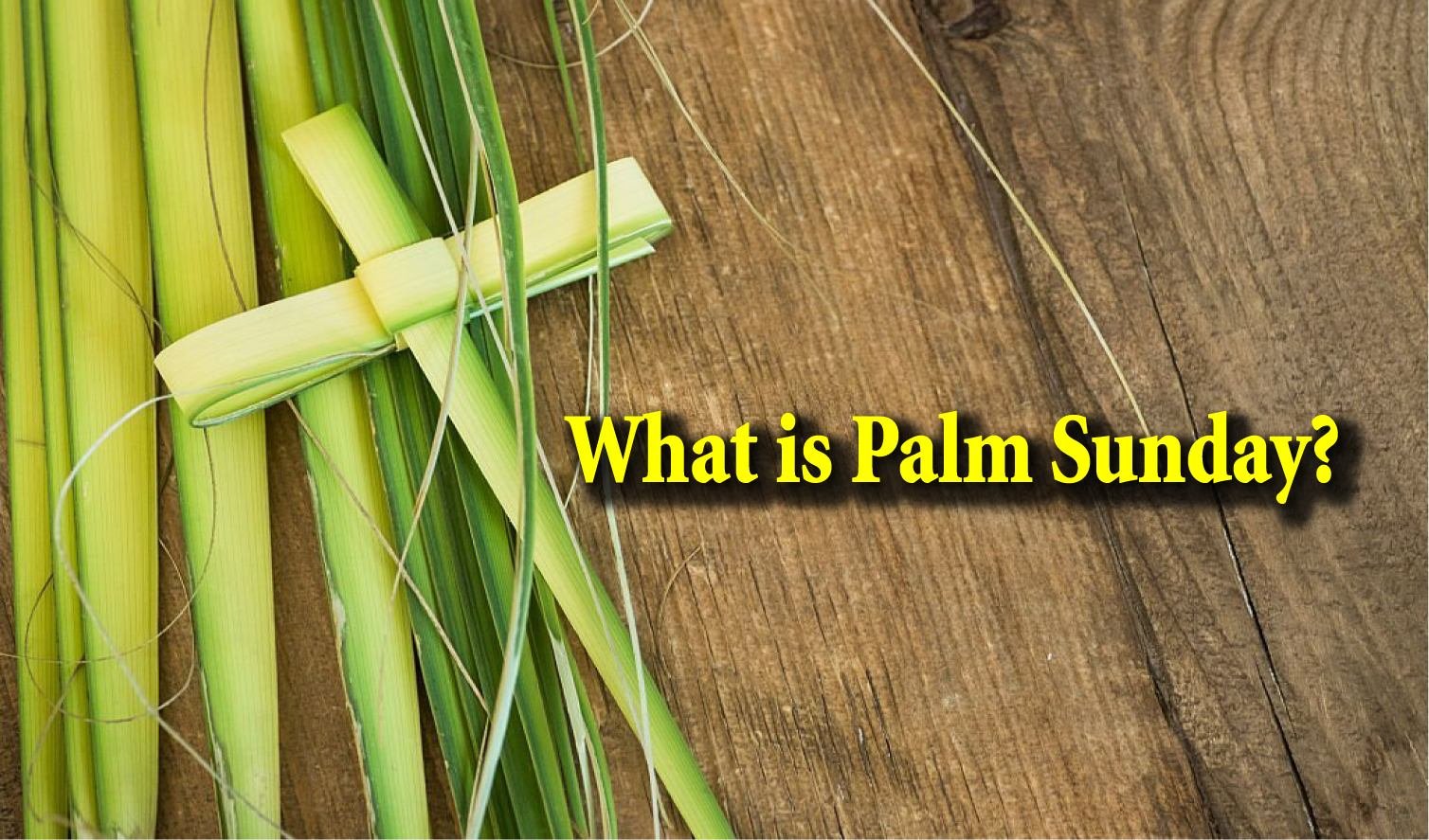 What is Palm Sunday