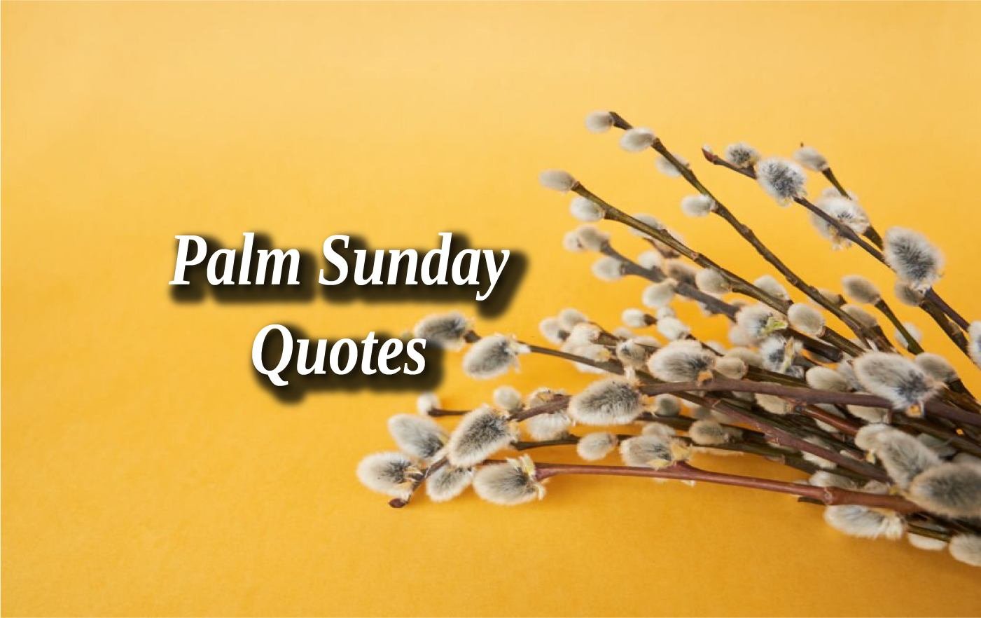 Palm Sunday Quotes: 30+ Inspiring Bible Verses to Celebrate the Holy Week