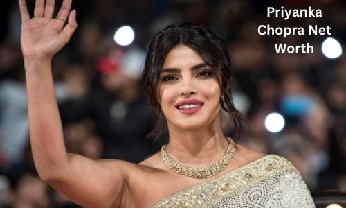 Priyanka Chopra Net Worth, Income, Salary, Husband, Age, Bio, Height & Career