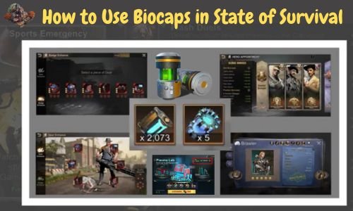 How to Use Biocaps in State of Survival? Best Way