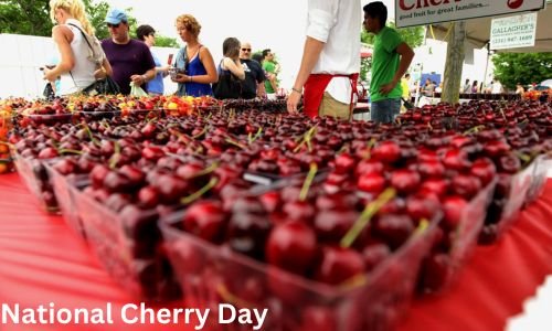 National Cherry Day 2024: History, Activities, Wishes and Messages