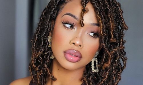 Butterfly Locs Ponytail