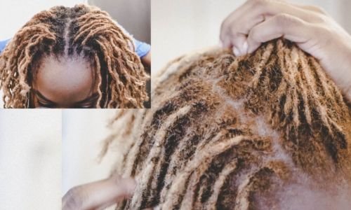 Icy Hairdo locs