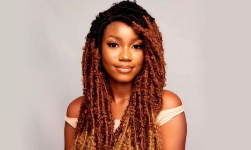 Long Butterfly Locs