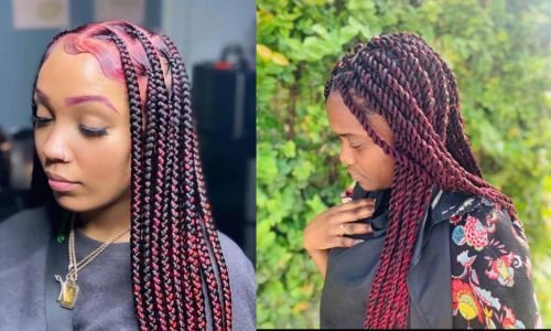 Purple & Black Combo locs