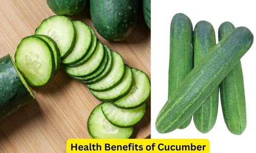 10 Incredible Health Benefits of Cucumber: Benefits & Side Effects