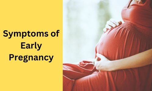 What Are The Symptoms of Early Pregnancy? Early Signs You Should Know