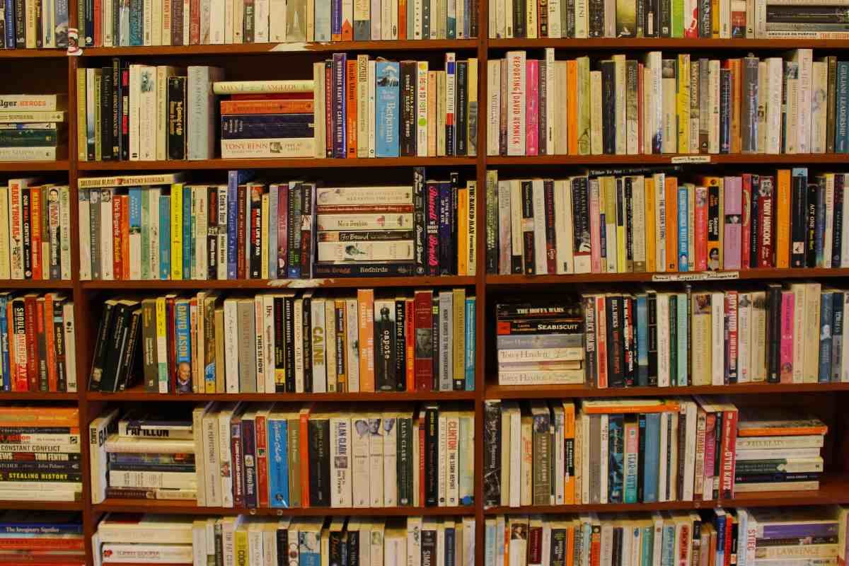 Best African Interactive Books 2024