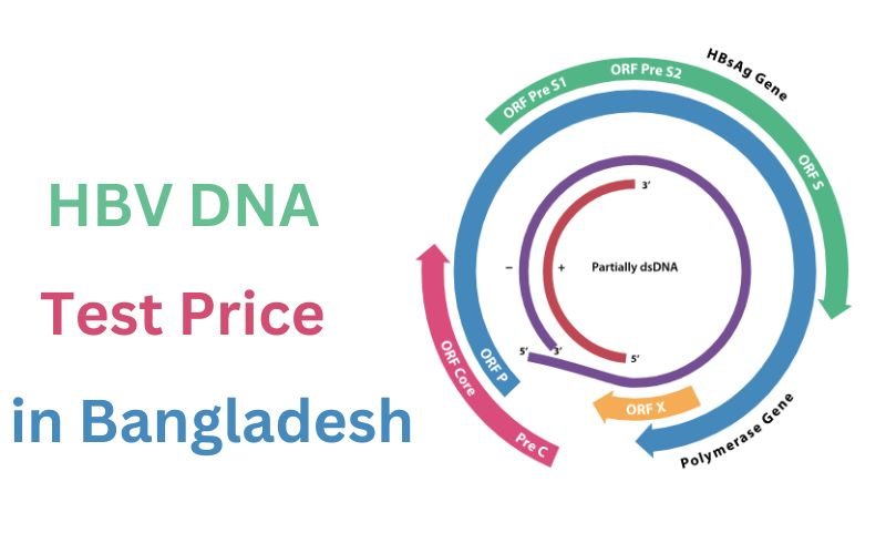 HBV DNA Test Price in Bangladesh You Should About